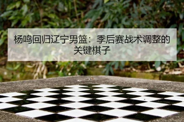 杨鸣回归辽宁男篮：季后赛战术调整的关键棋子