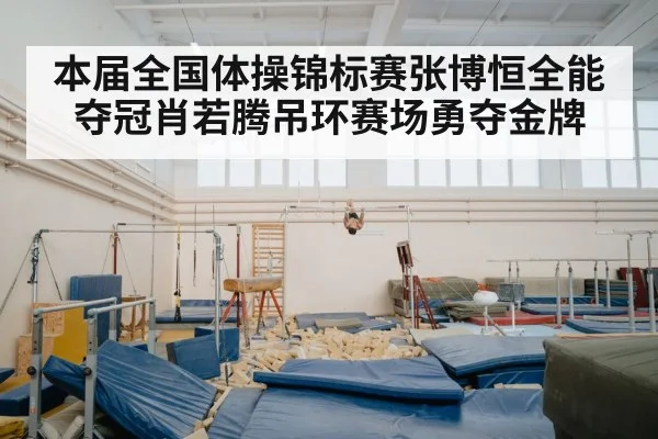 本届全国体操锦标赛张博恒全能夺冠肖若腾吊环赛场勇夺金牌
